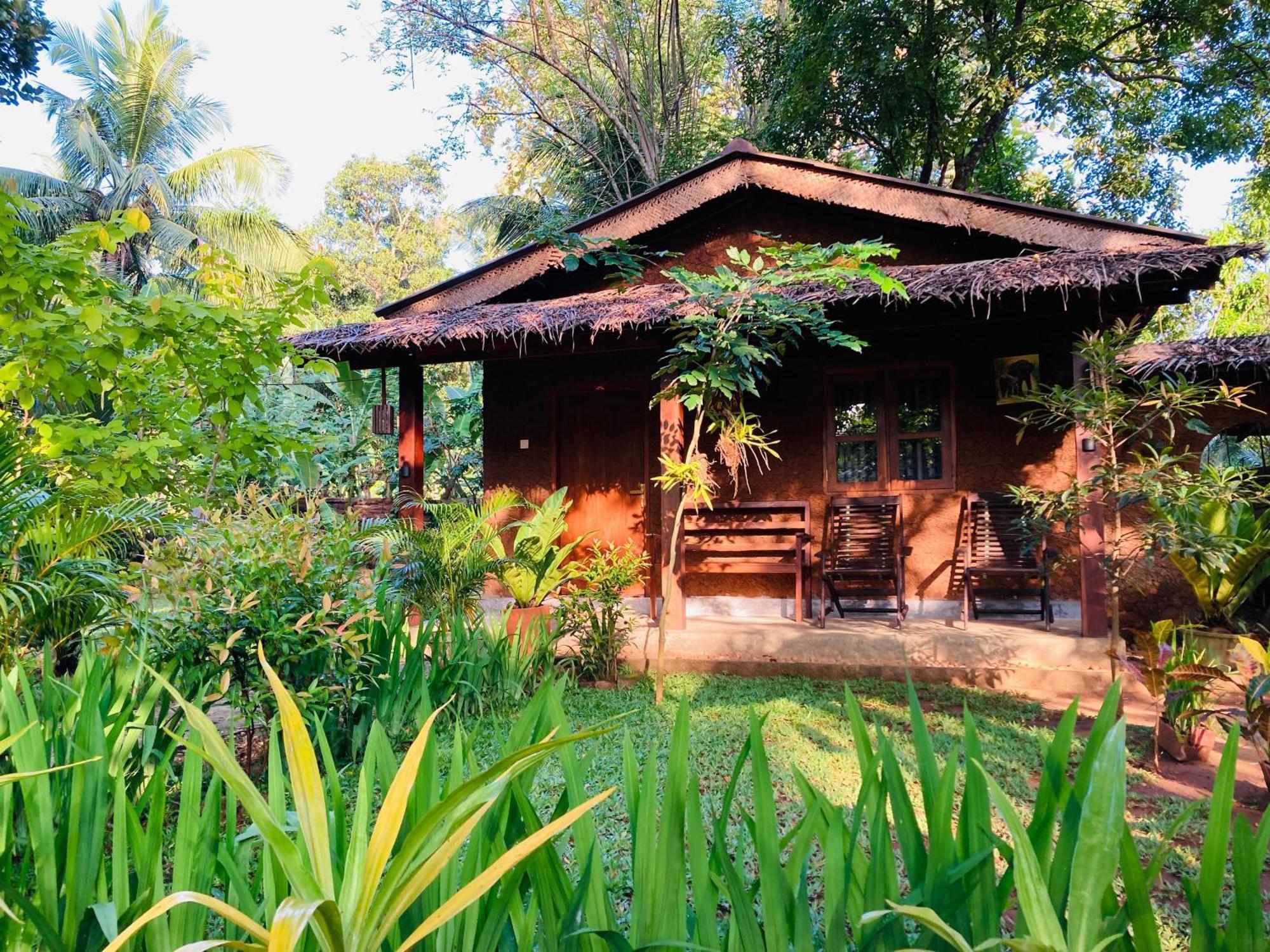 Green Paradise Cottage Udawalawa Udawalawe Εξωτερικό φωτογραφία