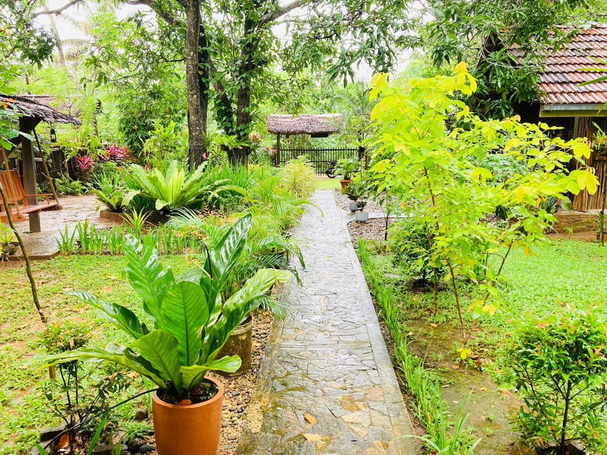 Green Paradise Cottage Udawalawa Udawalawe Εξωτερικό φωτογραφία