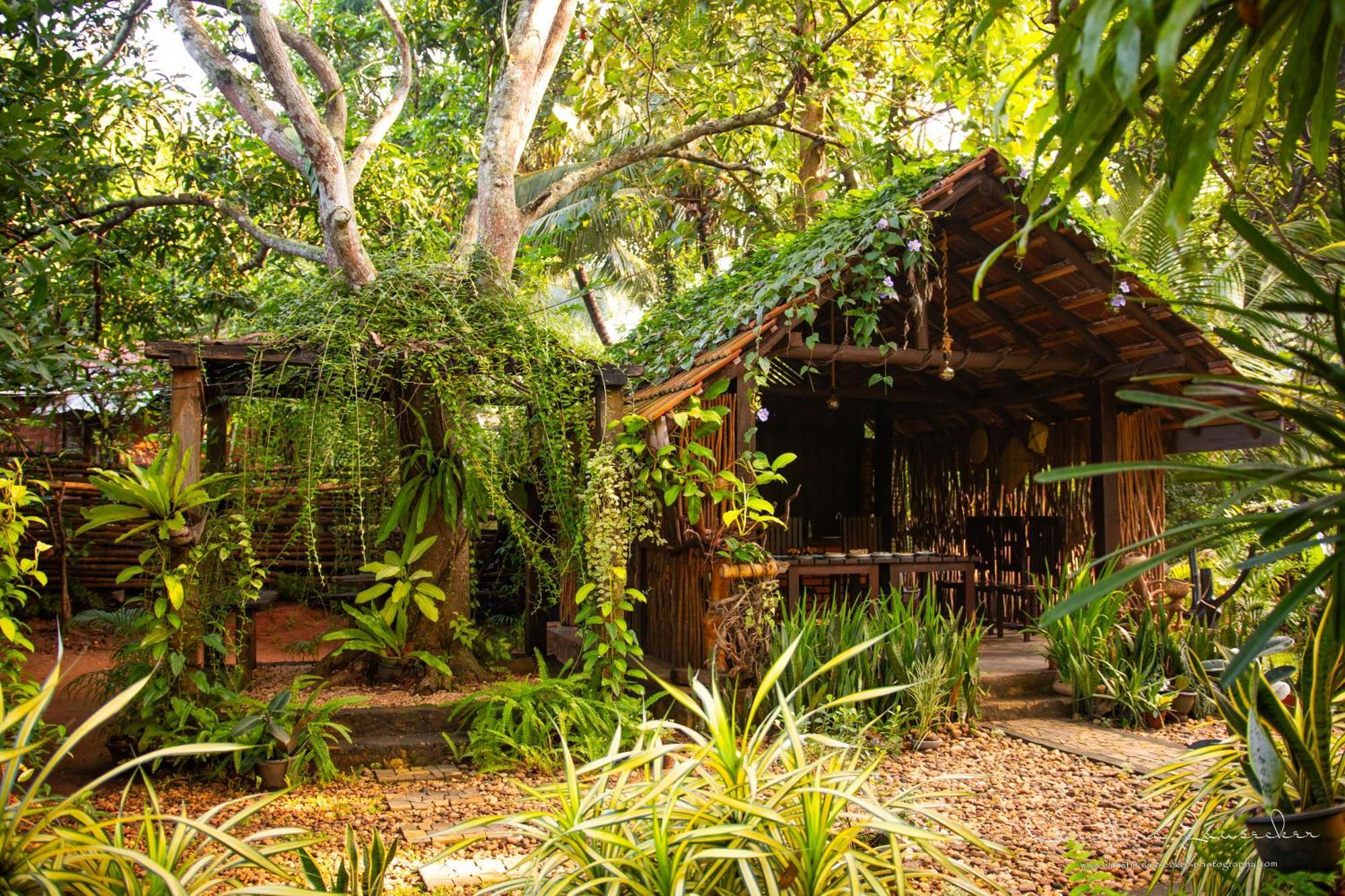 Green Paradise Cottage Udawalawa Udawalawe Εξωτερικό φωτογραφία
