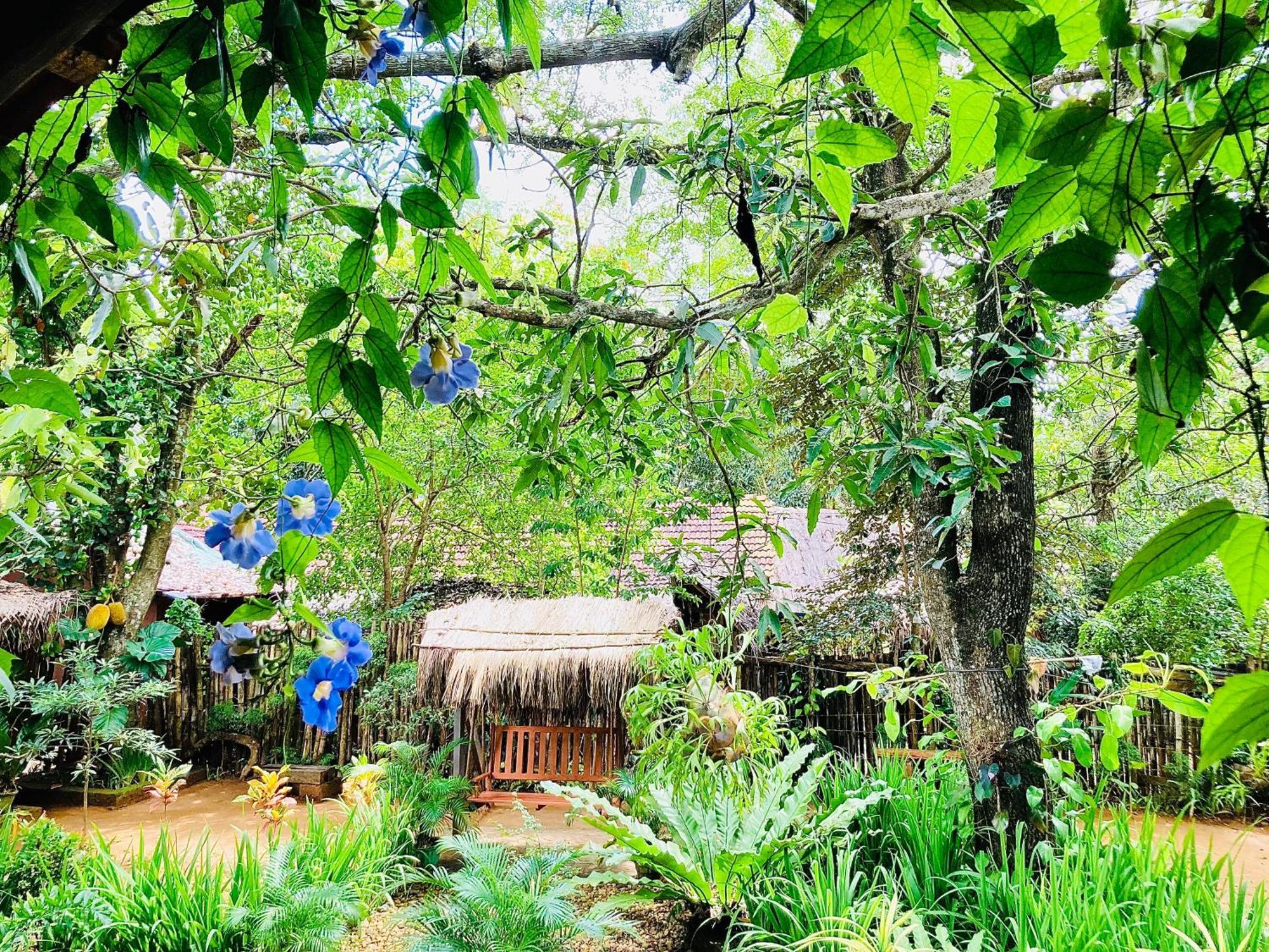 Green Paradise Cottage Udawalawa Udawalawe Εξωτερικό φωτογραφία
