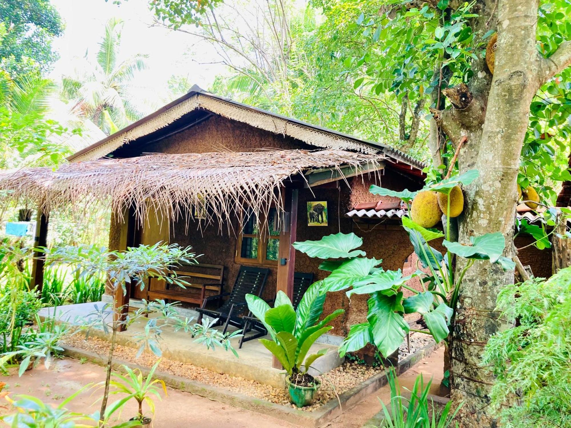 Green Paradise Cottage Udawalawa Udawalawe Εξωτερικό φωτογραφία