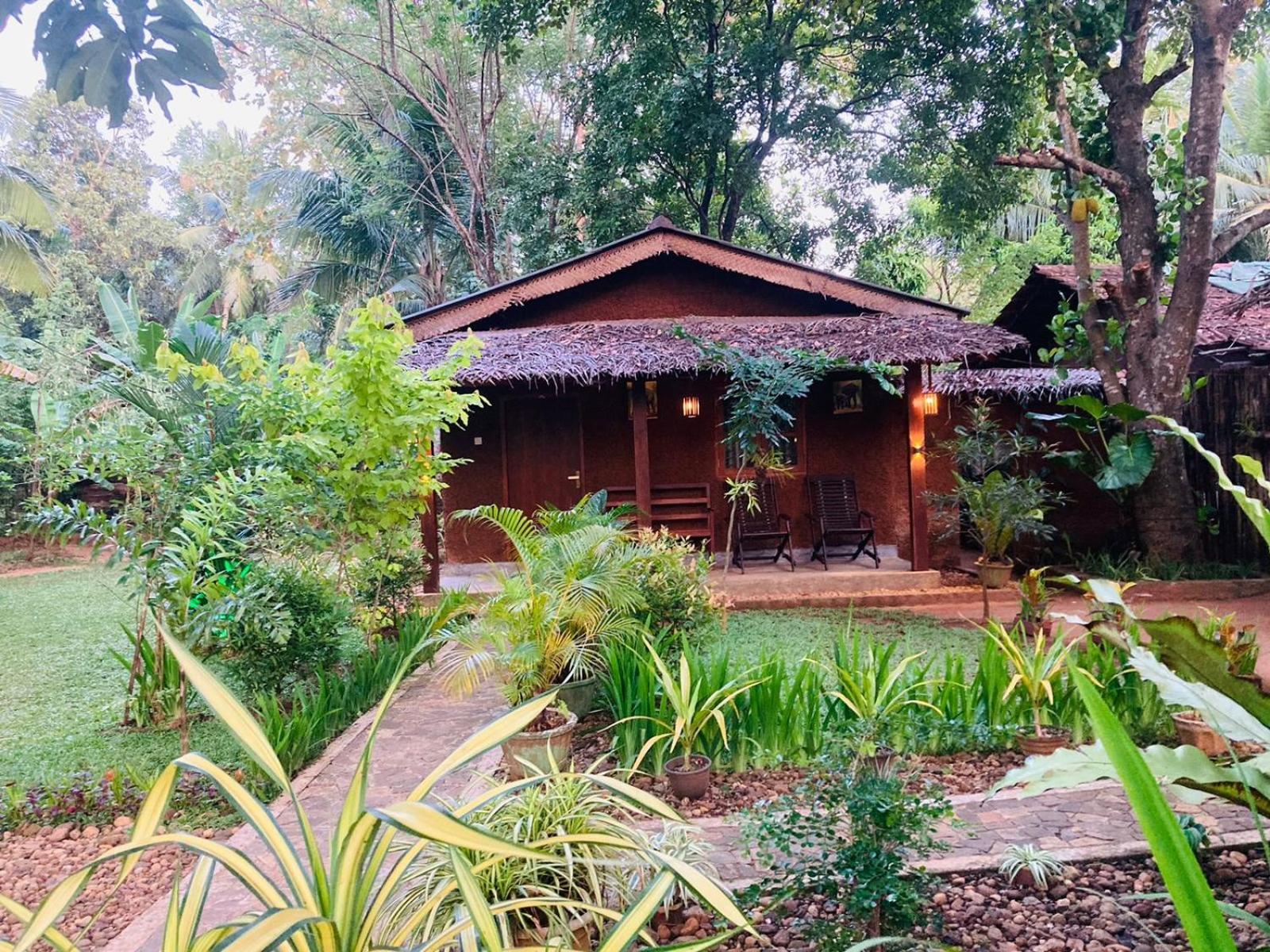 Green Paradise Cottage Udawalawa Udawalawe Εξωτερικό φωτογραφία